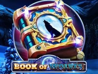Book Of Wolves game icon